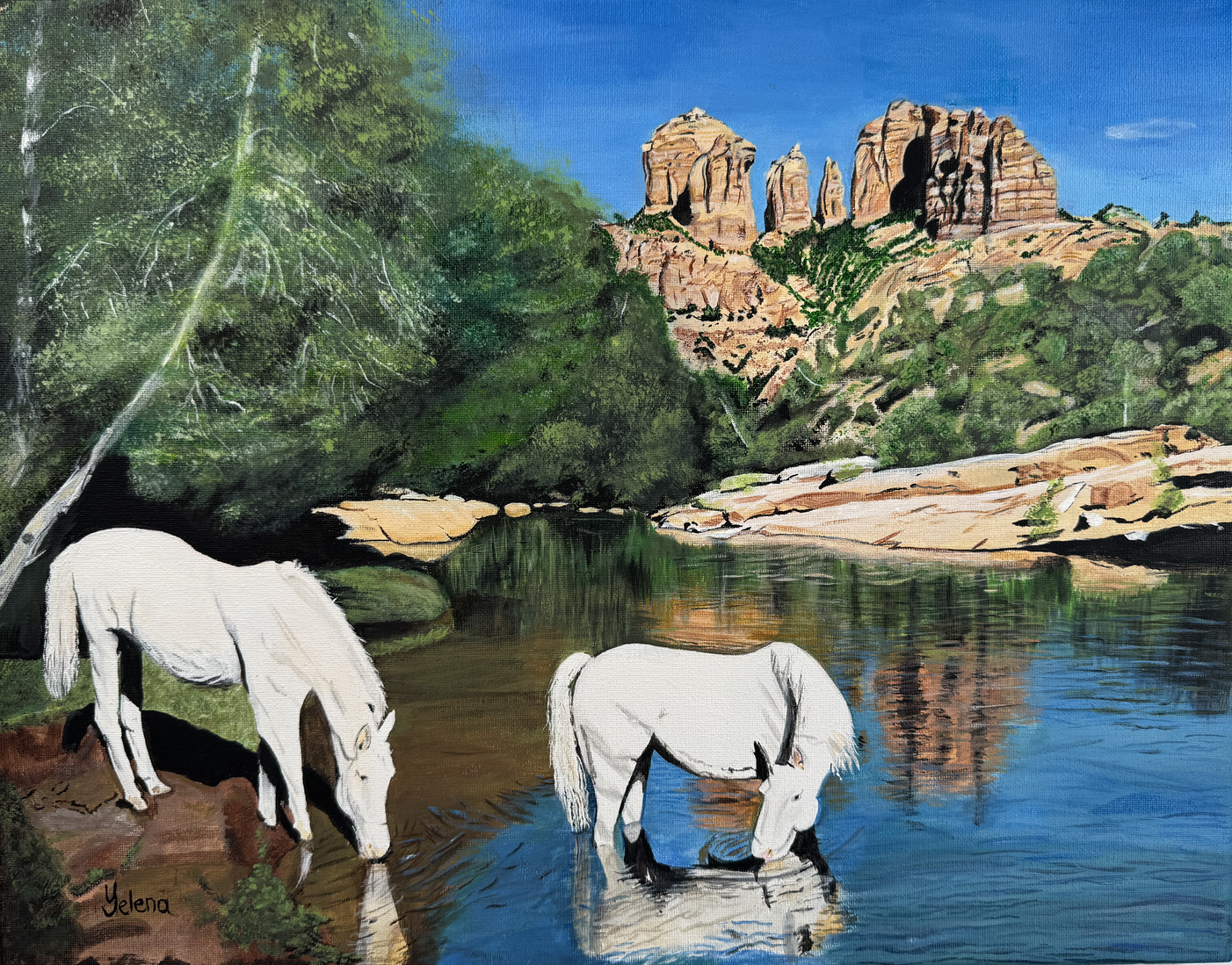Horses on a Creek